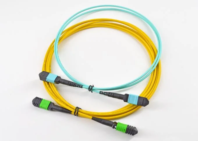 Optical Fiber MPO MTP Trunk Optical Patch Cord 8 12 24 Fibers Om3 3m for Data Center Fiber Cabling