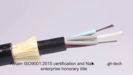 Interno/esterno 1 2 4 コア G657A1/A2 GJYXFCH FRP/Stahldraht シングル モード FTTH ドロップ フラット Fibra ottica/Glasfaserkabel